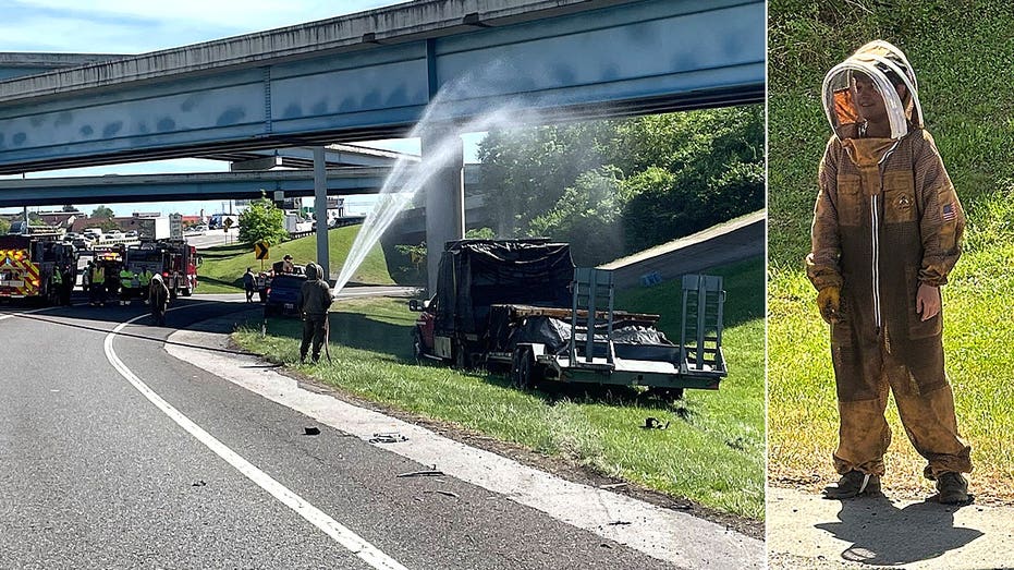 1 million bees swarm highway after crash shuts down interstate ramp for hours