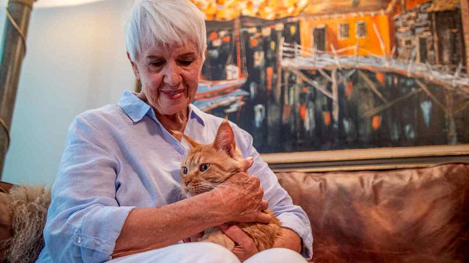 AI tech helps a senior reunite with her cat after 11 days
