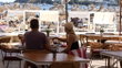 Americans emerge as sought-after visitors as vacation island faces tourism backlash