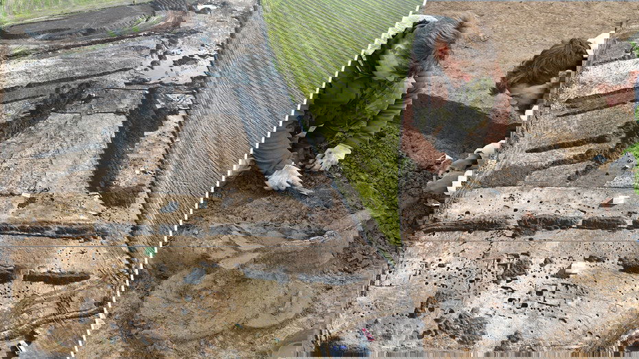 Ancient civilization's gold coins, luxury artifacts unearthed during 'unprecedented' dig