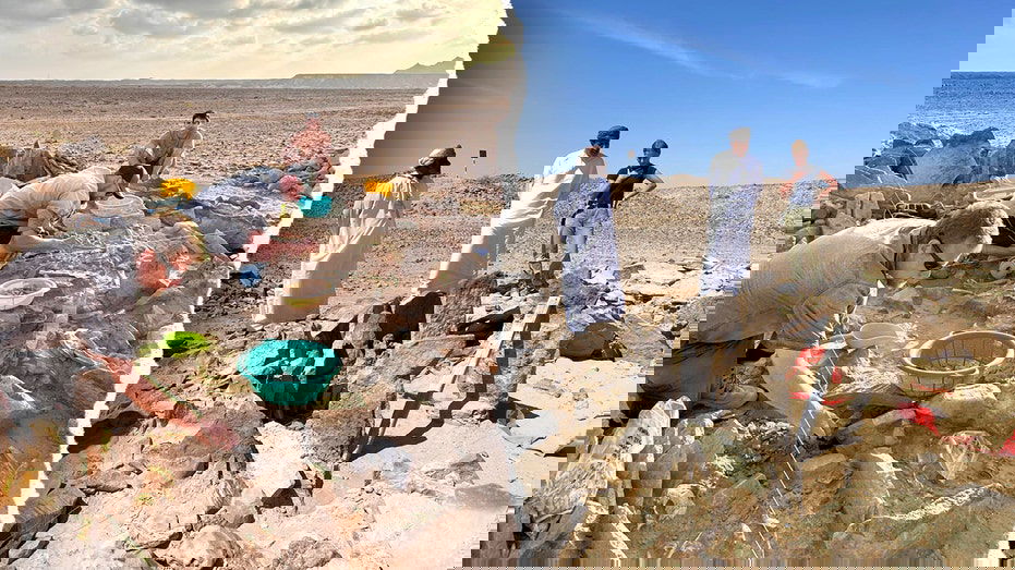 Ancient humans were hunting and eating sharks 7,000 years ago, burial site discovery shows