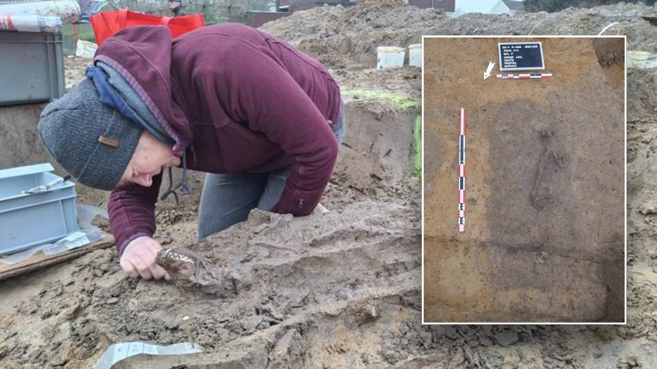 Ancient settlement reveals remains of 1,800-year-old dog, baffling experts: 'Preserved quite well'