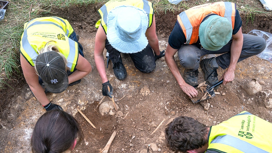 Archaeologists unearth Viking-era 'execution pit' near university town, exposing brutal ancient violence