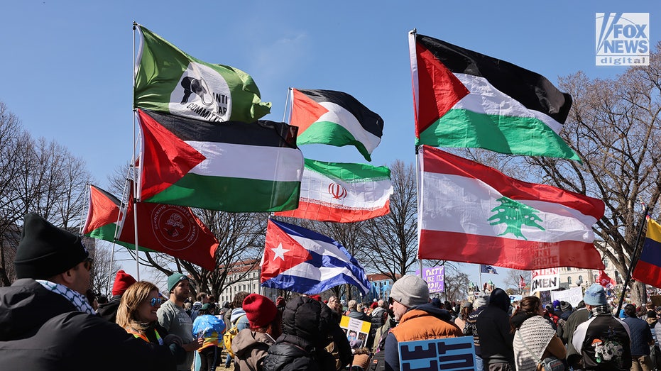 Behind 'No Kings' St Paul protest: $250K production machine equal to a Def Leppard concert