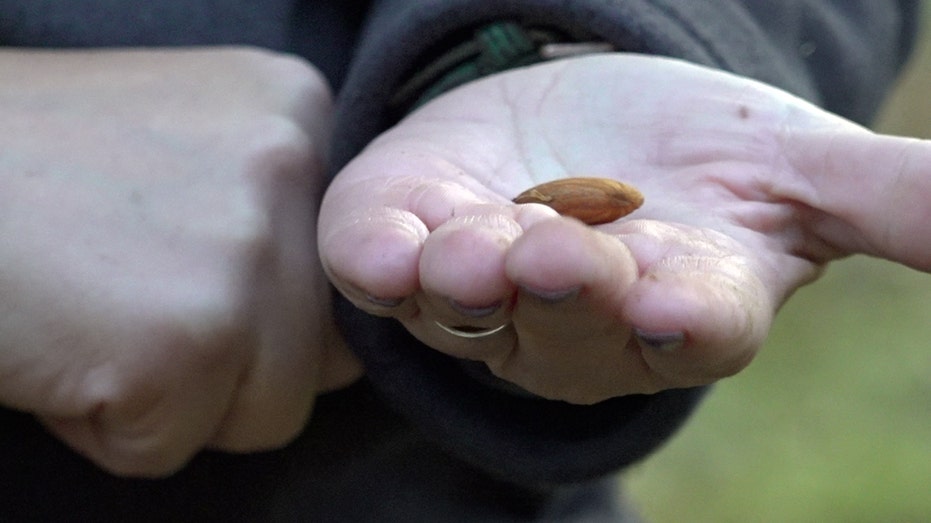 California farmers push back on Prop 50 as Democrats eye new House map