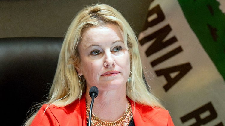 California mayor accused of drunken behavior, racial slur, harassment in chief of staff's claim