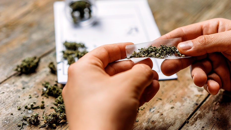 Cannabis compounds could reverse disease affecting one-third of adults
