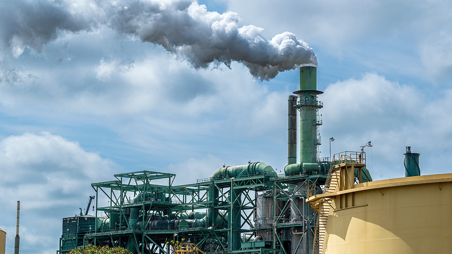 Climate deadlines collide with politics as Dem-led states chase Big Oil in court but spare local refiners