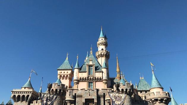 Congressman Asks DOT To Remove No-Fly Zone Over Disney Parks