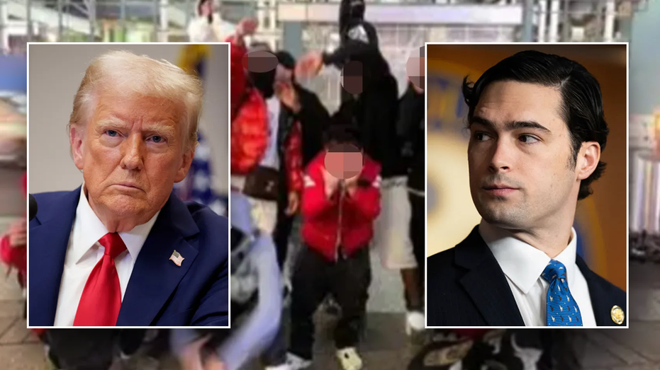 Court order halting deportation flights 'unconstitutionally impedes' executive branch, Trump allies argue