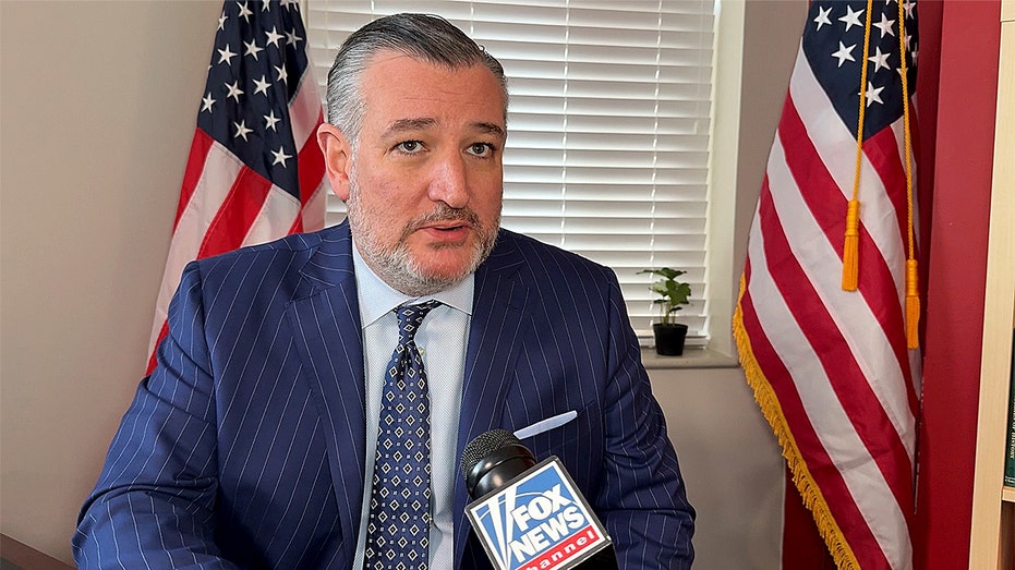 Cruz warns 'radical Democrats' will 'burn it down' if they win back Congress