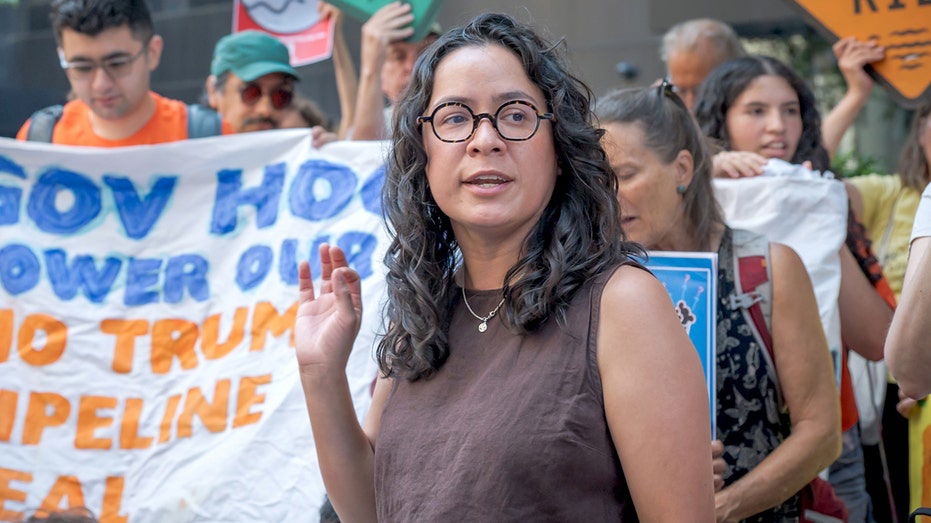 Democratic socialist Mamdani ally mounts bid for US House of Representatives