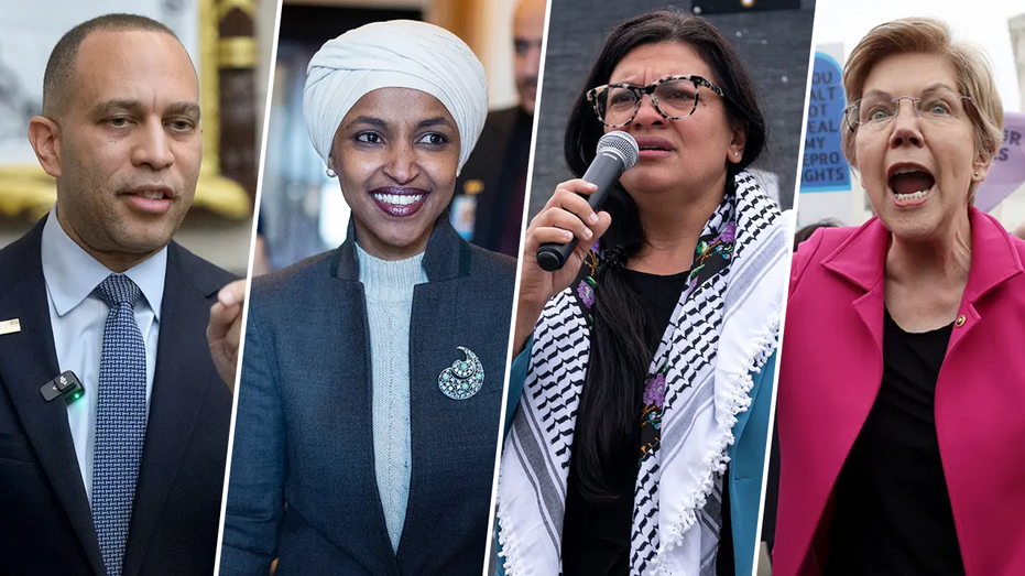 Dems face backlash for violent rhetoric after deadly ICE shooting: 'Must stop'