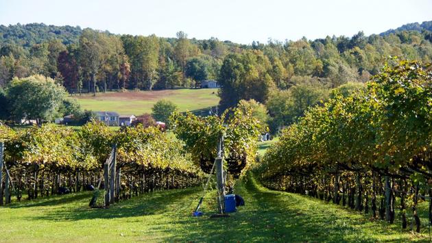 Destinations International Launches Equity, Diversity and Inclusion Pilot Program