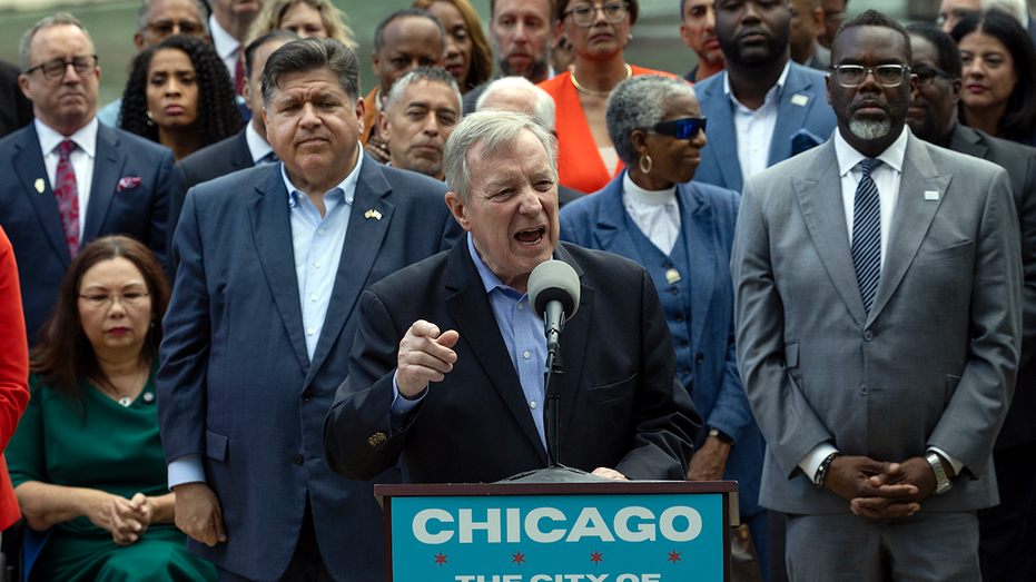 DHS torches 'bamboozled' Dems for calling ICE crackdown 'vicious lies'