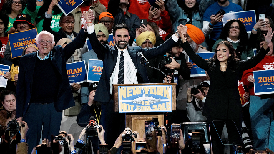 DNC chair downplays socialist-moderate rift as Mamdani's rise has some Dems rattled