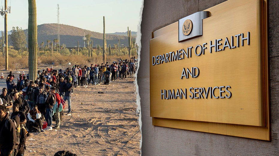 EXCLUSIVE: Medicaid directs states to crack down on illegal immigrant enrollees with monthly checks