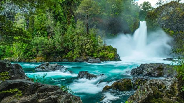 Explore the World's Southernmost Rainforest in Chile