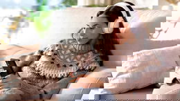 Fake Spotify voting scam exposed