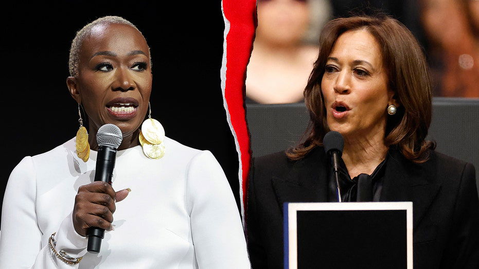 Far-left ex-MSNBC host argues Kamala Harris shouldn't run in 2028, cites Biden policy 'stain'