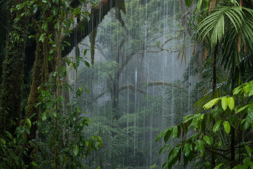 Flash Flood Warnings in Far North Queensland:  Travel Disruptions Expected in Cairns, Gordonvale, Bellenden Ker, and More, All You Need to Know