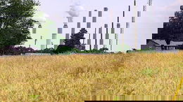 Fox News AI Newsletter: Family turns down $26M from AI giant to keep farmland