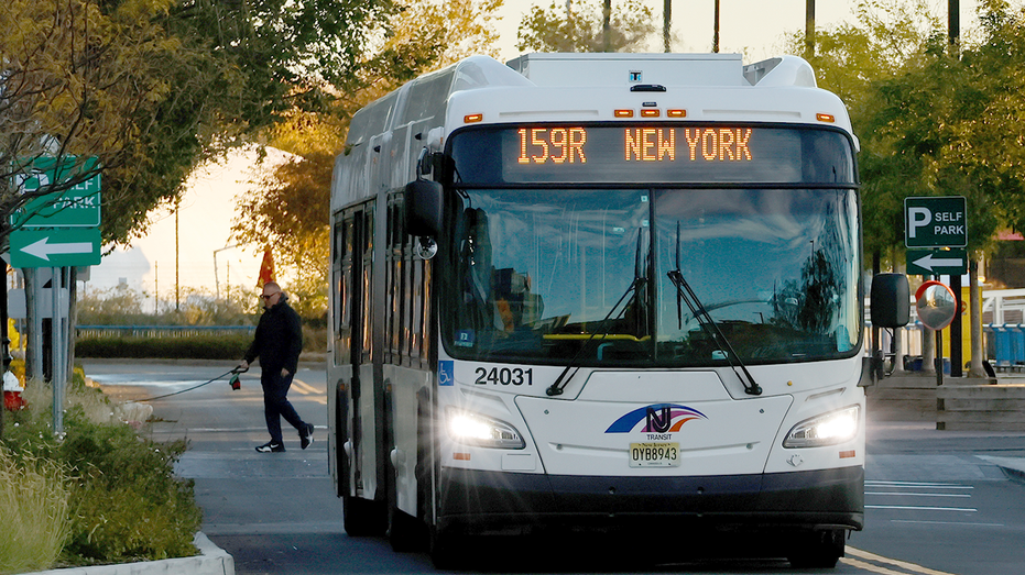 Fraud engulfs Minnesota as another blue state kicks off New Year with ID for trains - not votes