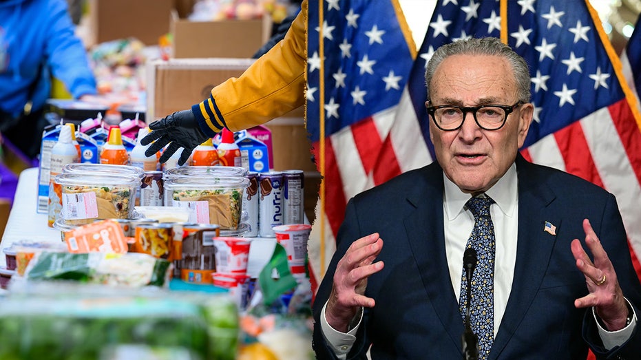 GOP lawmaker warns public safety workers 'turning to food banks' as government shutdown drags on