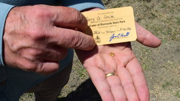 Grandfather finds hidden treasure in plain sight as park officials 'dumbfounded' by discovery