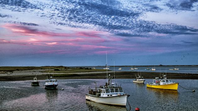 Great Road Trip Destinations Around the United States