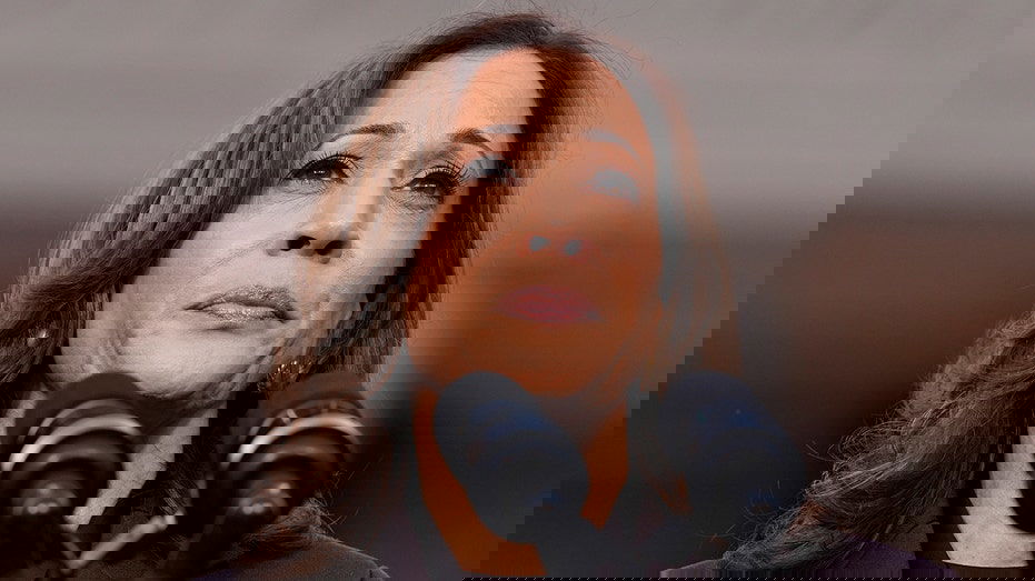 Harris tells DNC staffers after devastating layoffs, 'our spirit will not be defeated'