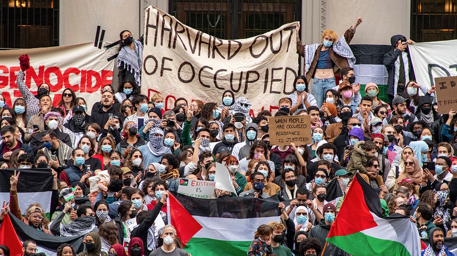 Harvard president calls students 'ignorant' on Israel-Palestinian conflict