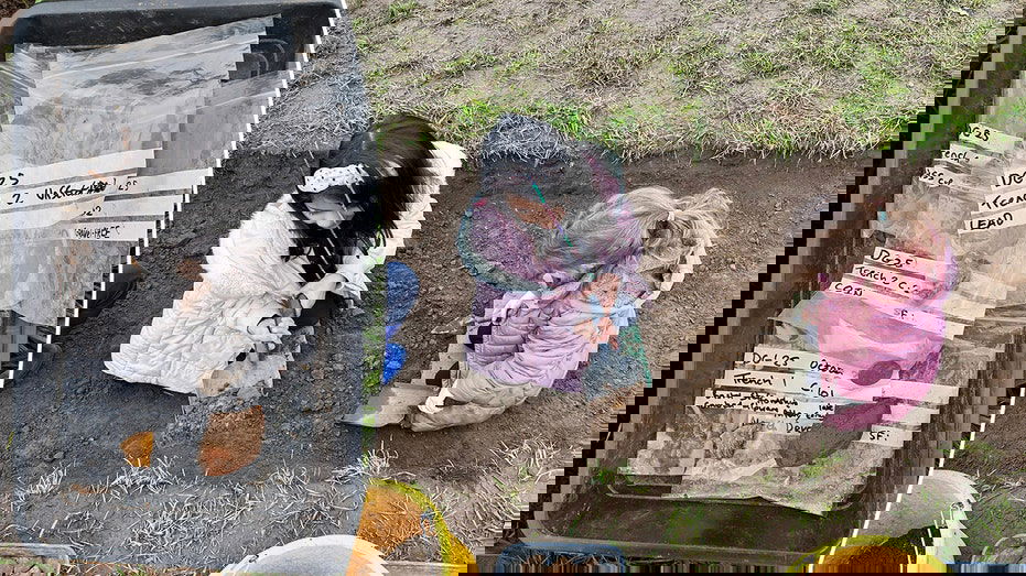 'Hugely exciting' prehistoric artifacts uncovered during hunt for long-lost Irish castle