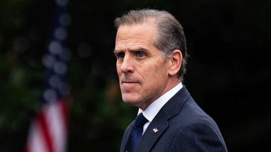 Hunter Biden trashes Democratic leadership, hails Gavin Newsom as party's 'greatest warrior'