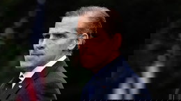 Hunter Biden trashes Democratic leadership, hails Gavin Newsom as party's 'greatest warrior'