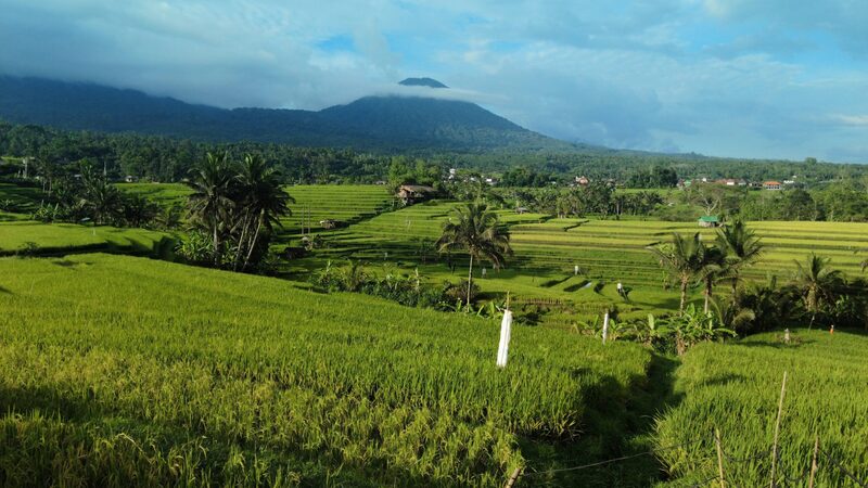 Indonesia's Bali Secrets Revealed: Top Hidden Beaches, Highland Retreats, and Cultural Hotspots for Immersive Travel