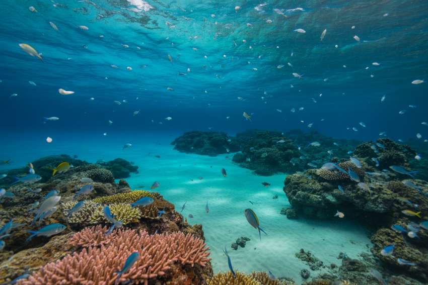 Invisible Threat Lurking in the Waters of Gili Trawangan: The Hidden Dangers of Microplastics at Indonesia's Popular Tourist Destination