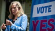 'Justice': Celebration, mockery erupt after Spanberger 'gerrymander' is blown up in blockbuster decision