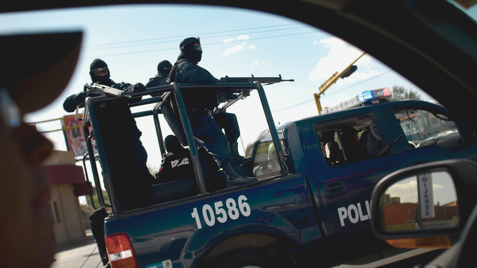 Kingpins fall, prices don't: How cartels defy the rules of economics