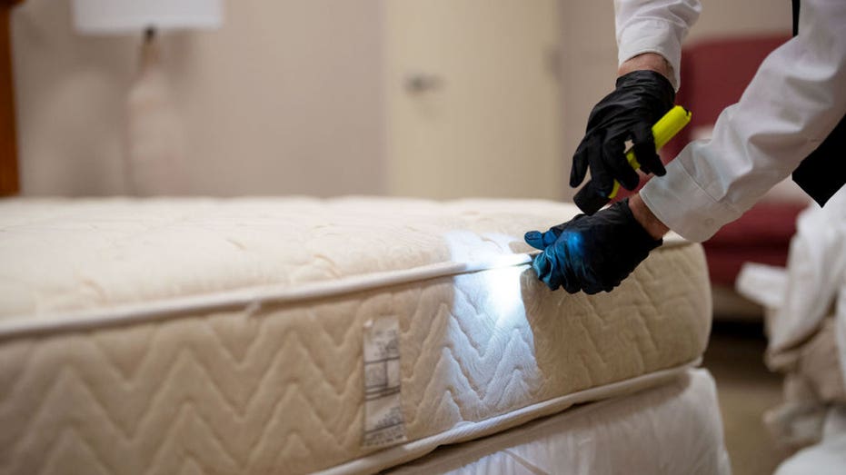 Major Midwest city tops bedbug infestation list for fifth consecutive year