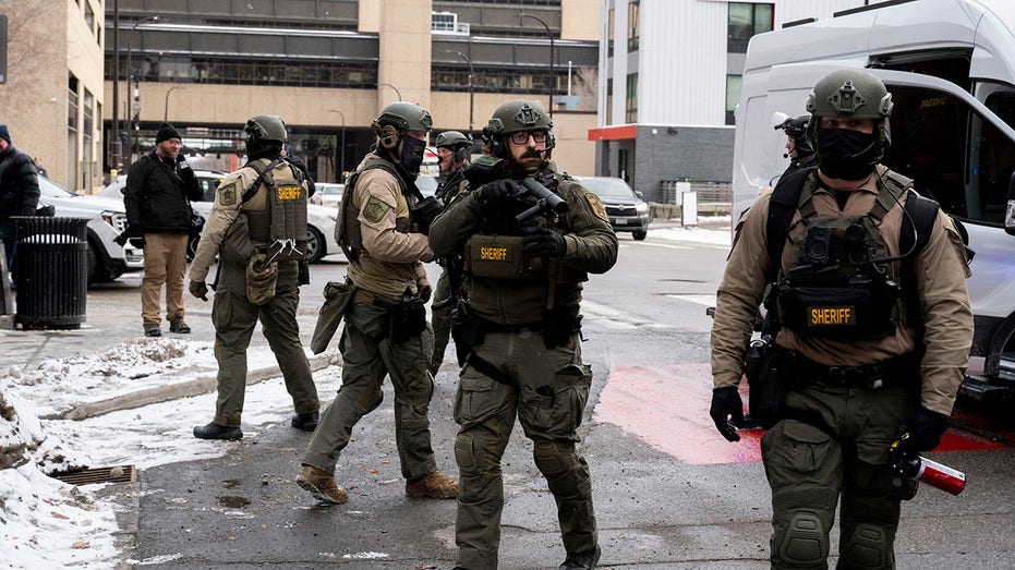 Minnesota police chiefs allege some ICE agents racially profiled US citizens, including off-duty officers