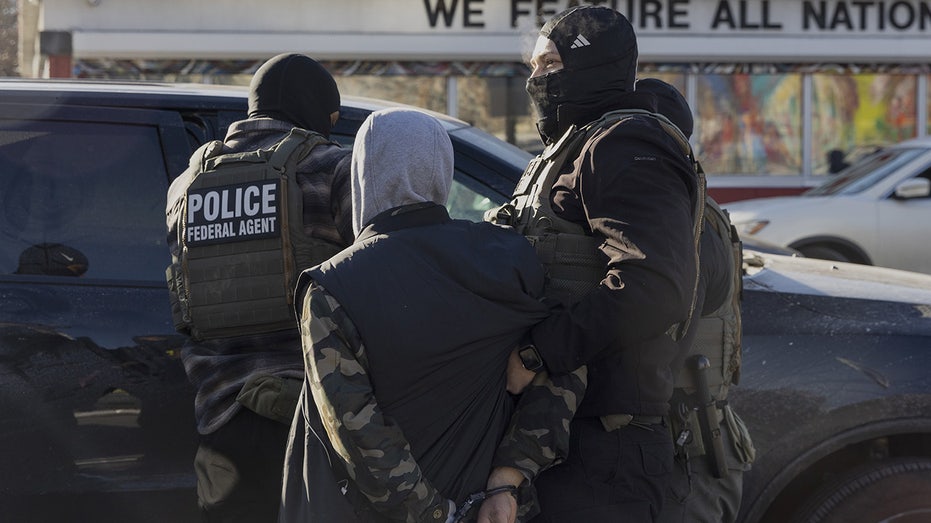 New Dem proposal would restrict ICE's key tool to detain criminal illegal aliens