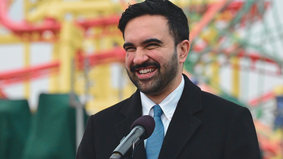 NYC $30 minimum wage proposal pushed by Mamdani would 'obliterate' certain industries: expert warns