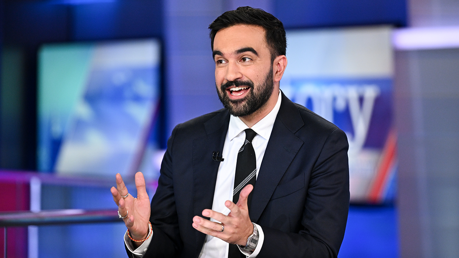 NYC Dem reveals how city council rejected Cea Weaver-now Mamdani is handing her power without confirmation