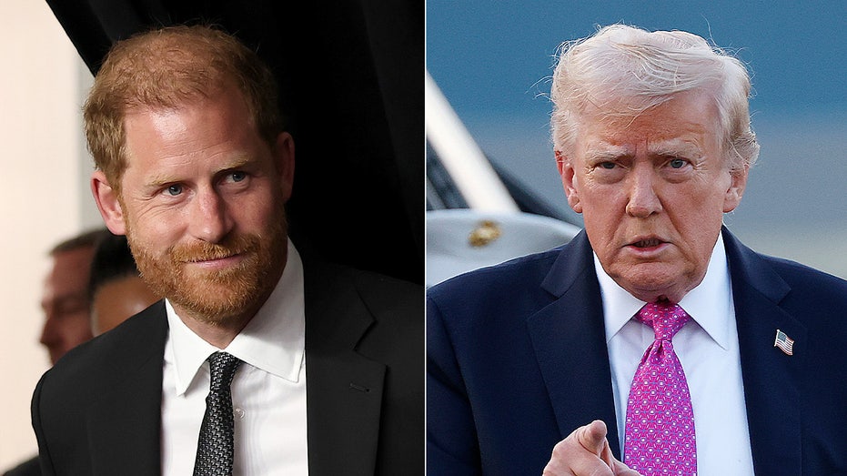 Prince Harry fires back at Trump over NATO criticism: 'I lost friends' in Afghanistan
