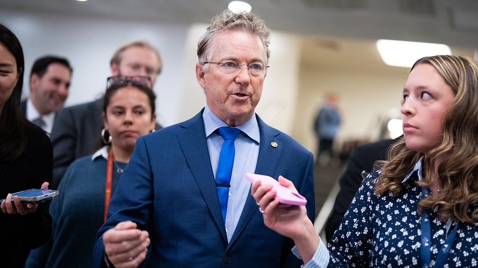 Rand Paul clashes with fellow Republican over AI 'kill switch' as Senate grapples with 'Terminator' fears