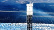 Regulators allow Obama-era solar plant to kill thousands of birds annually, investigation finds