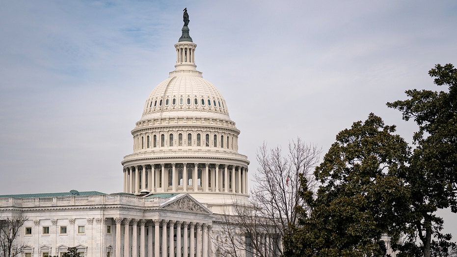 Reporter's Notebook: Why Trump may not be able to force Congress back over the DHS shutdown