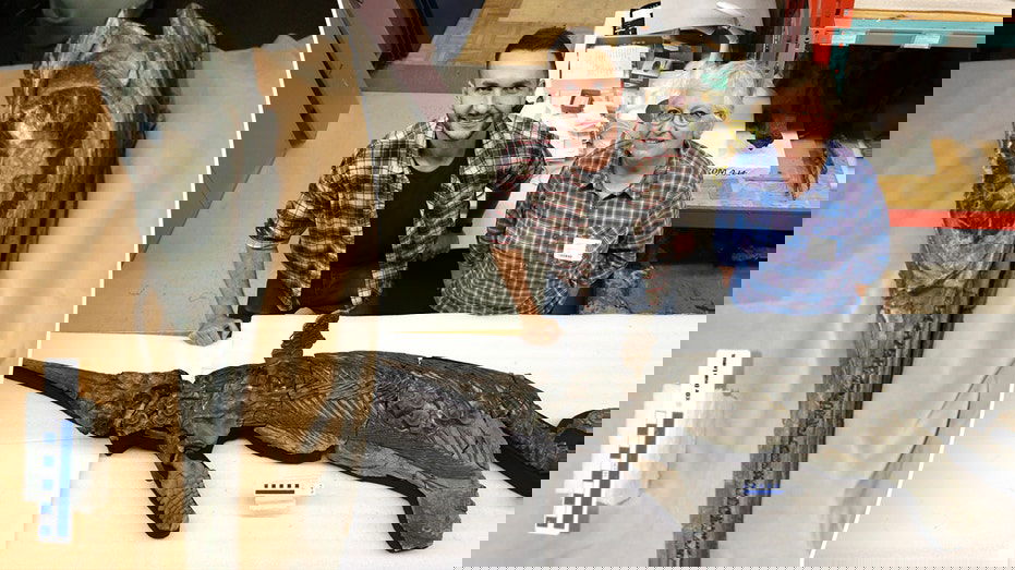 Scientists solve mystery of 'sword dragon' skeleton found on coast after decades of study