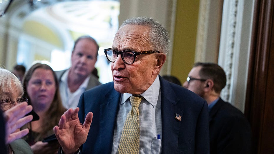Senate Republicans brand looming crisis a 'Schumer Shutdown' as Democrats dig in